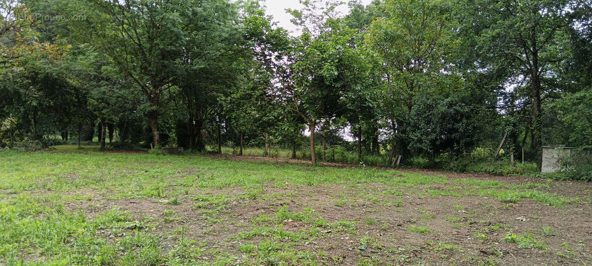 Terrain à LE BIGNON