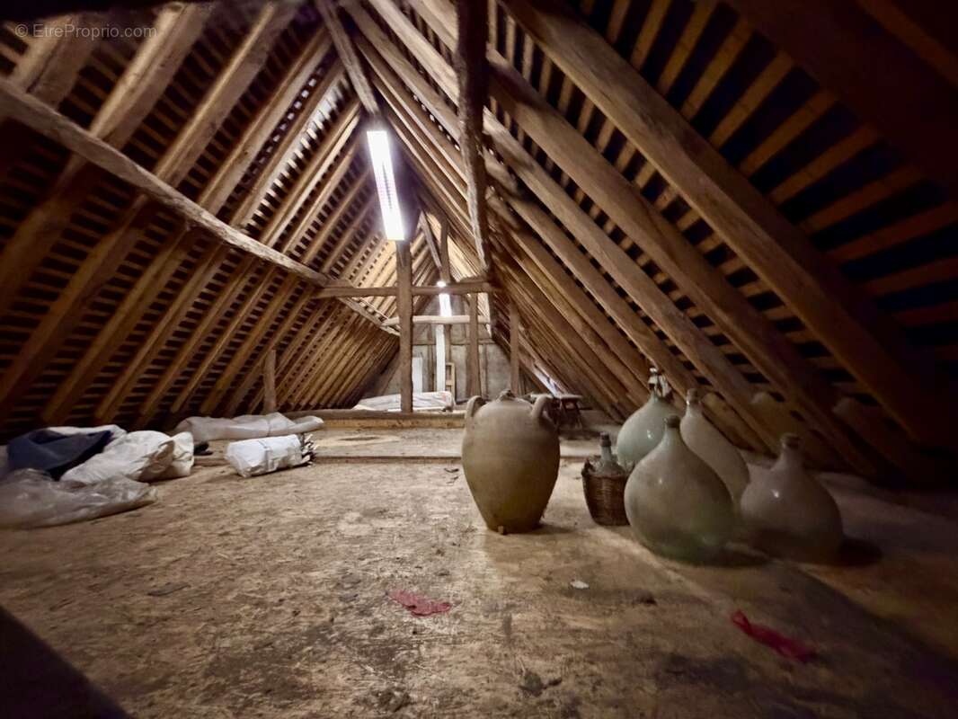 Maison à vendre 0 pièces BEAUFORT EN ANJOU (49) - photo 40