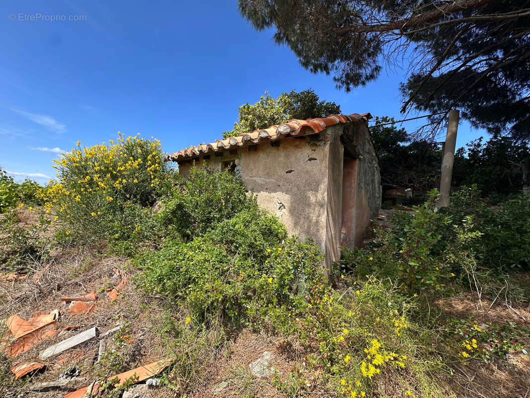 Vigne à vendre sur Collioure à 99 000€ et 10370m2 - photo 7