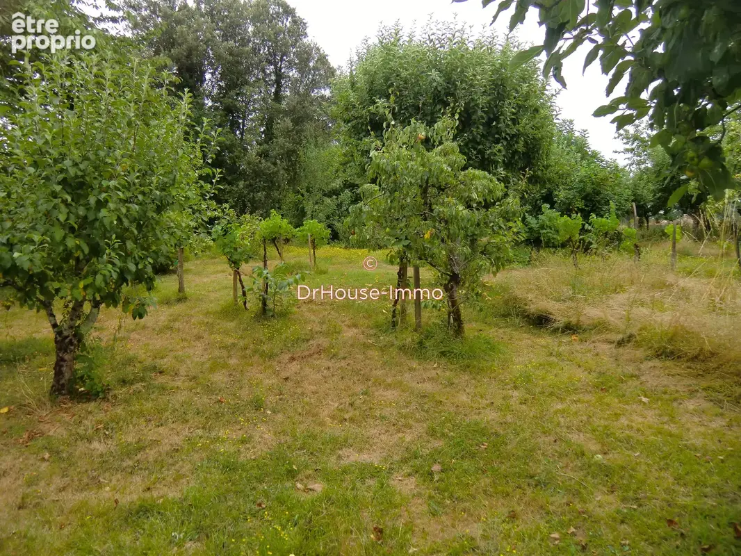 Terrain 1 566 m² à vendre à Masseube (32140) - photo 22