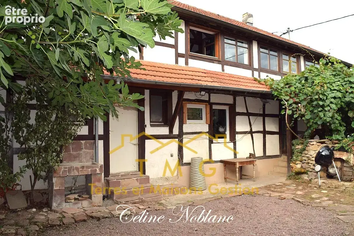 Belle maison Alsacienne avec dépendances - photo 2