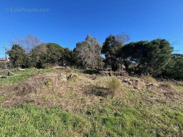 Terrain à CANNES
