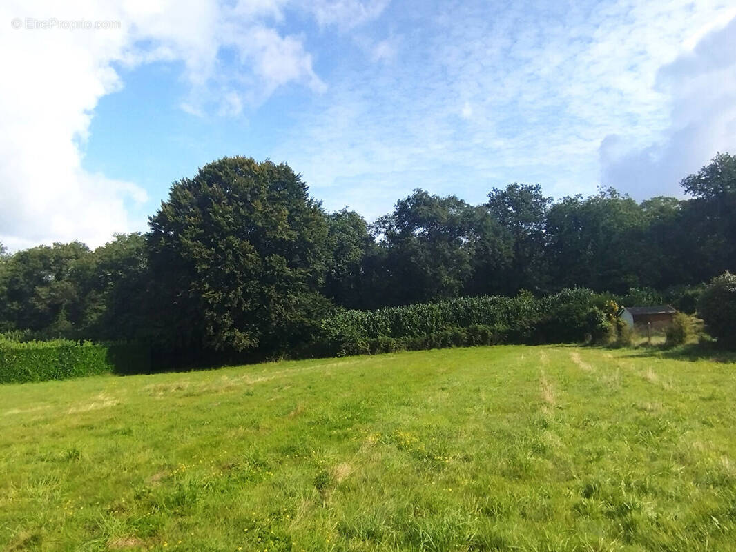 Terrain à SAINT-EVARZEC