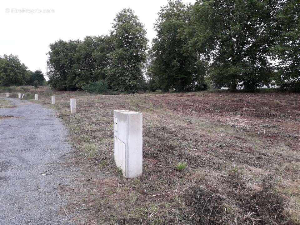 Terrain 491 m² à Forbach  - photo 4