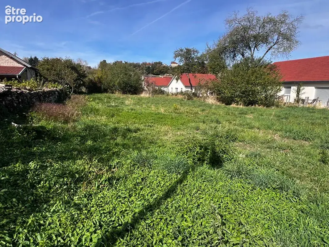 70190 - RECOLOGNE LES RIOZ - Terrain 1054 m² - Prix : 25000  honoraires charge vendeur - photo 3