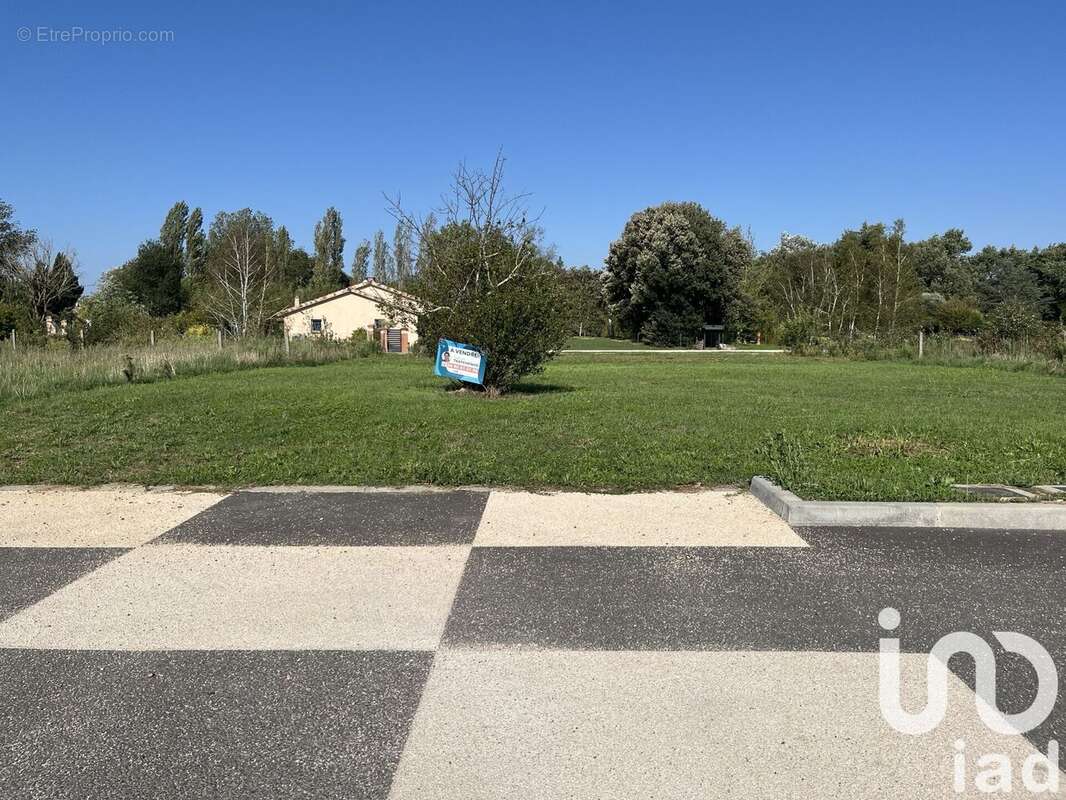 Photo 4 - Terrain à MURET