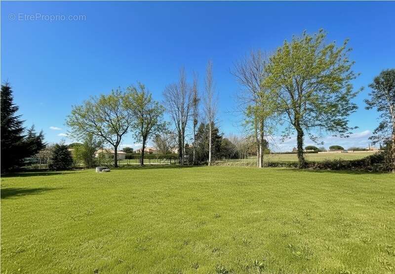 Terrain à SAINT-JEAN