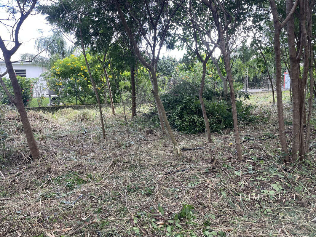 Terrain à SAINT-FRANCOIS