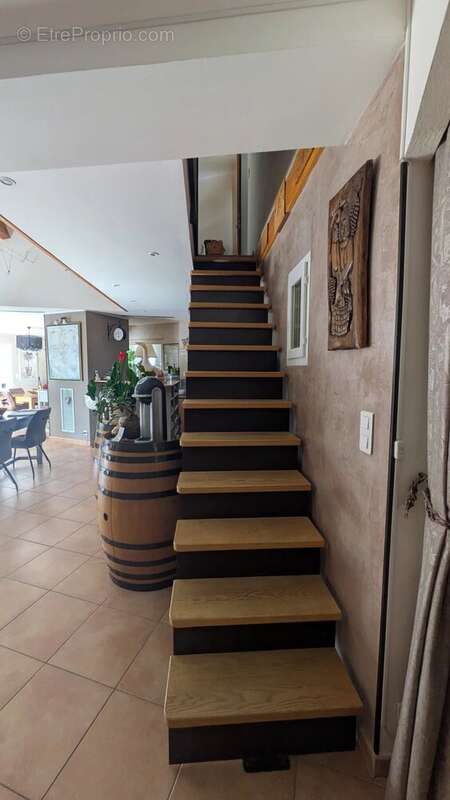 Grande maison familiale  à Bize-Minervois - photo 22