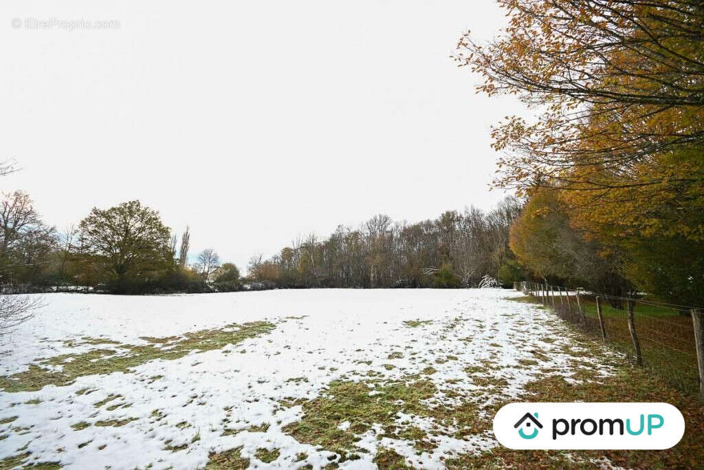 Terrain à MOUTIERS-EN-PUISAYE
