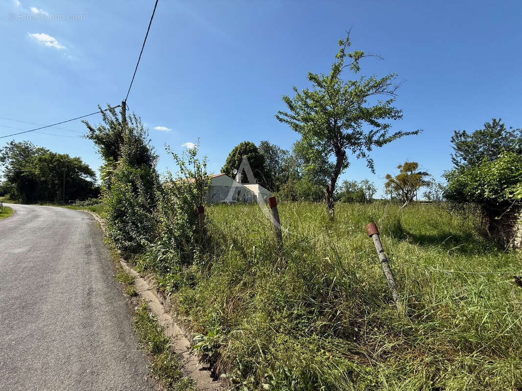 Terrain à LE POIRE-SUR-VELLUIRE