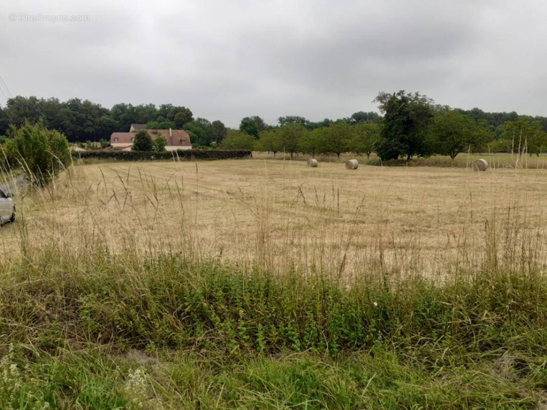 Terrain à CARSAC-AILLAC