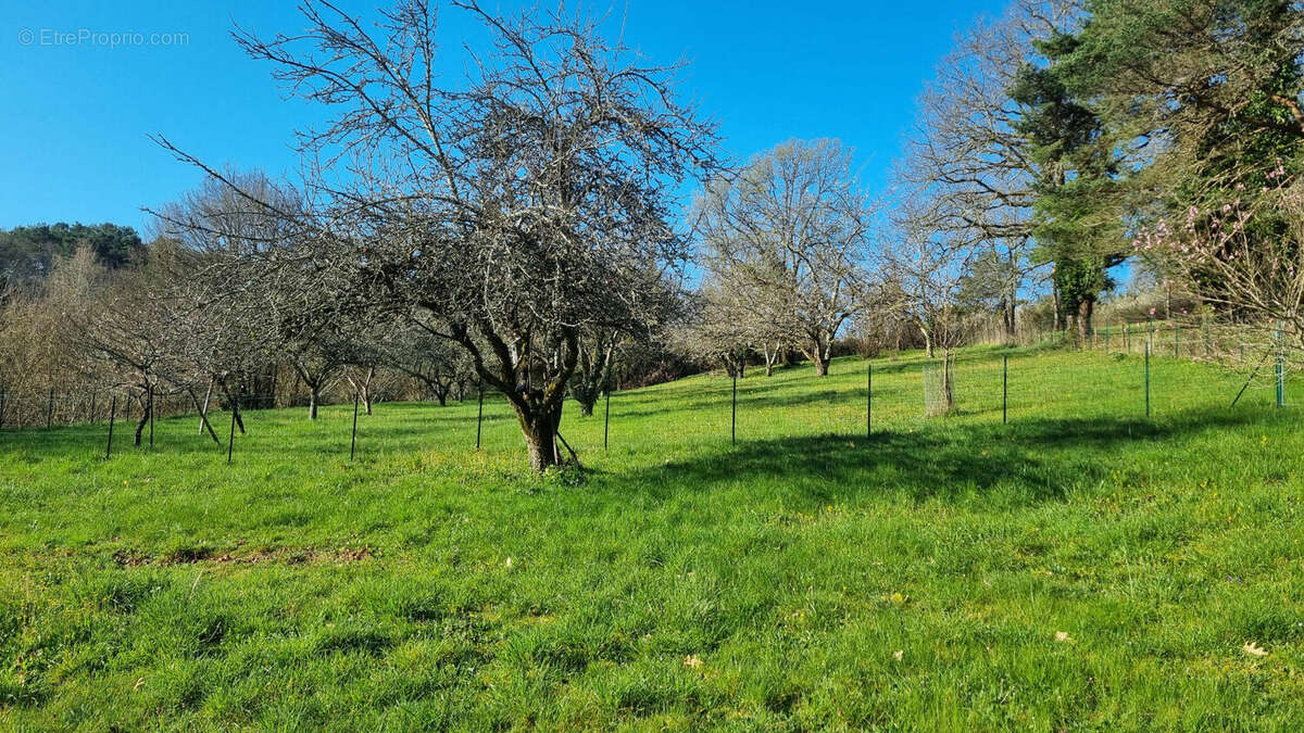 20260320_091247 - Maison à JAVERLHAC-ET-LA-CHAPELLE-SAINT-ROBERT