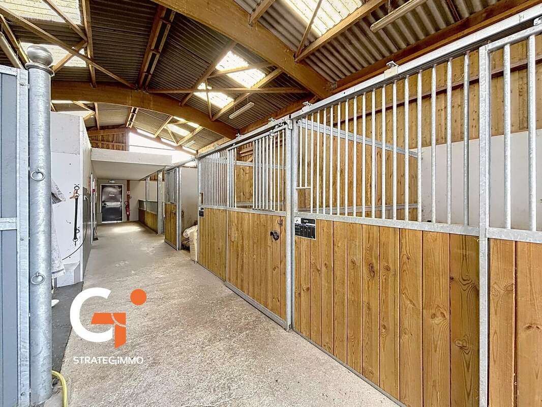 Propriété équestre et Habitation sur 14 Ha - photo 8