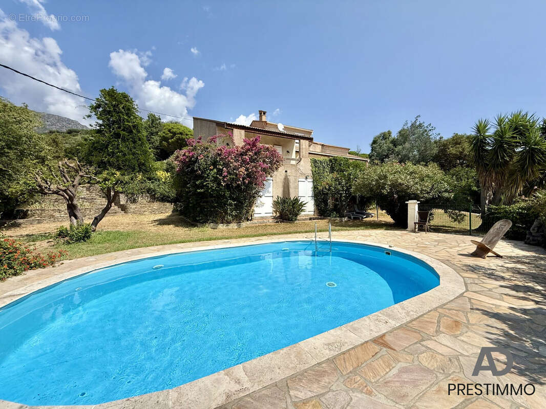 Maison 215 m² à San-Martino-Di-Lota  - photo 5