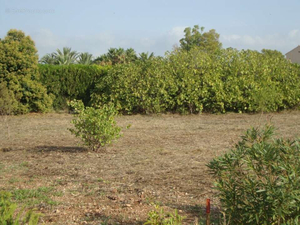 Terrain à PIERREFEU-DU-VAR