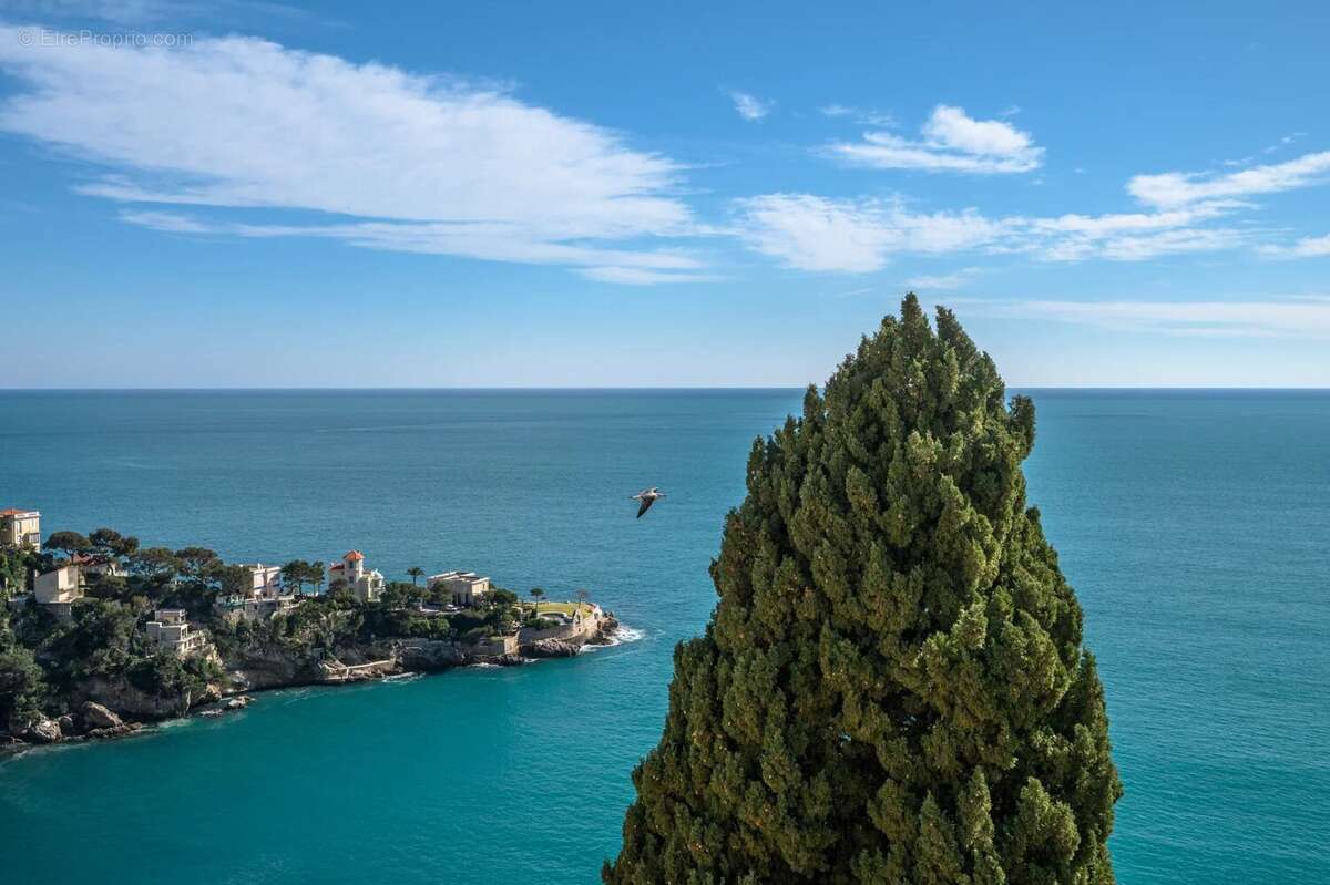 Appartement à CAP-D'AIL