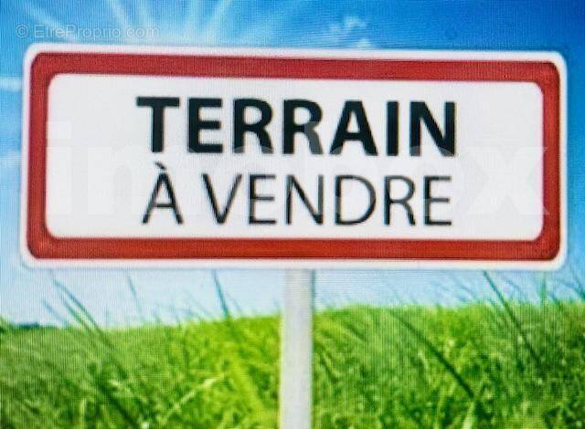 IMG_0834 - Terrain à SAINT-GEREON