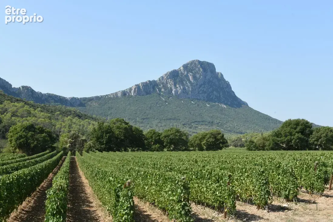 Photo Terrain à Le Triadou au prix de 103 500€