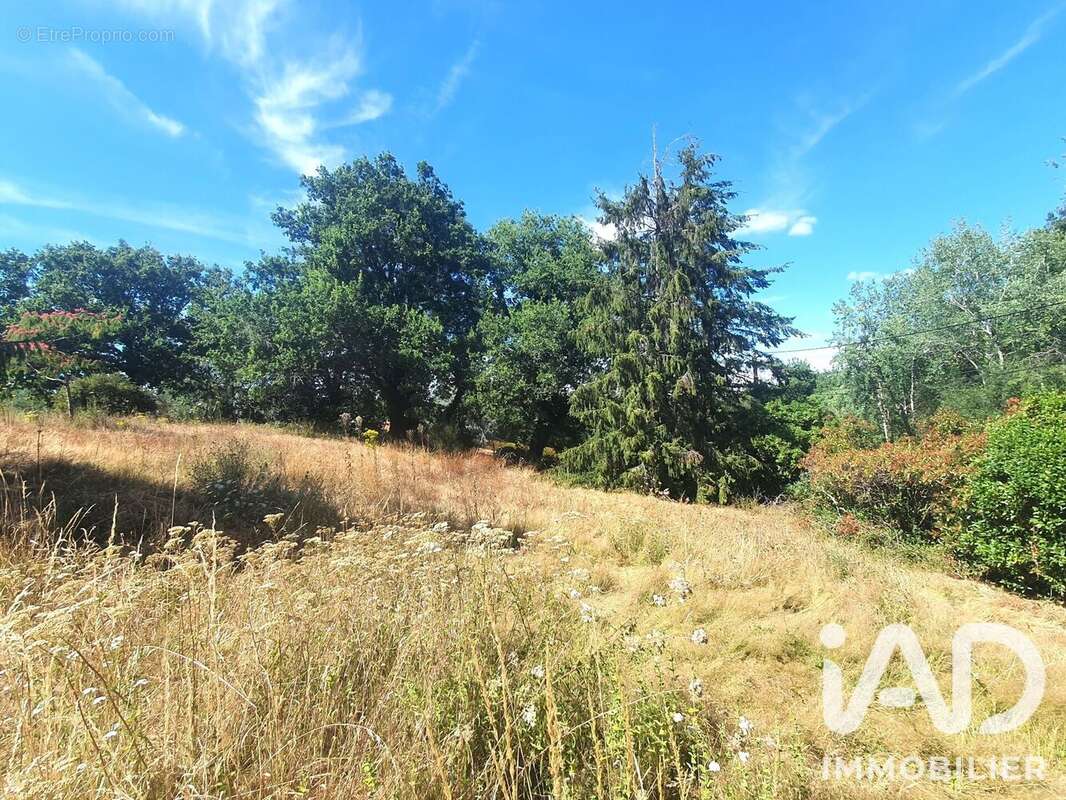 Terrain 1103 m² à Saint-Vincent-Sur-Graon  - photo 5