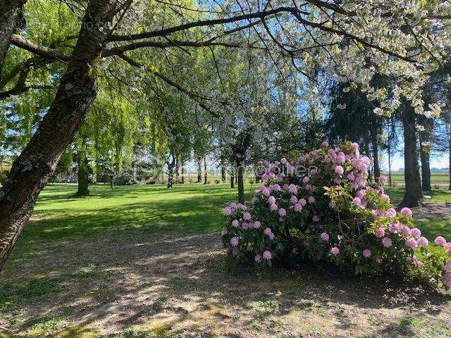 Maison à PONT-AUDEMER