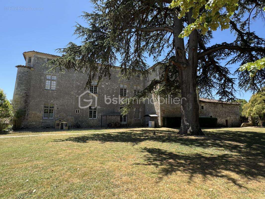 Château d’Exception au Cœur de la Ténarèze - photo 7