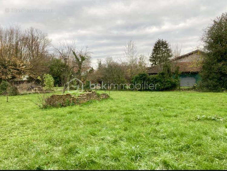Terrain à ECLARON-BRAUCOURT-SAINTE-LIVIERE