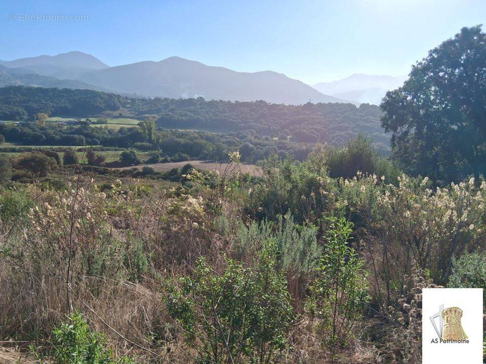 Maison à BASTELICACCIA