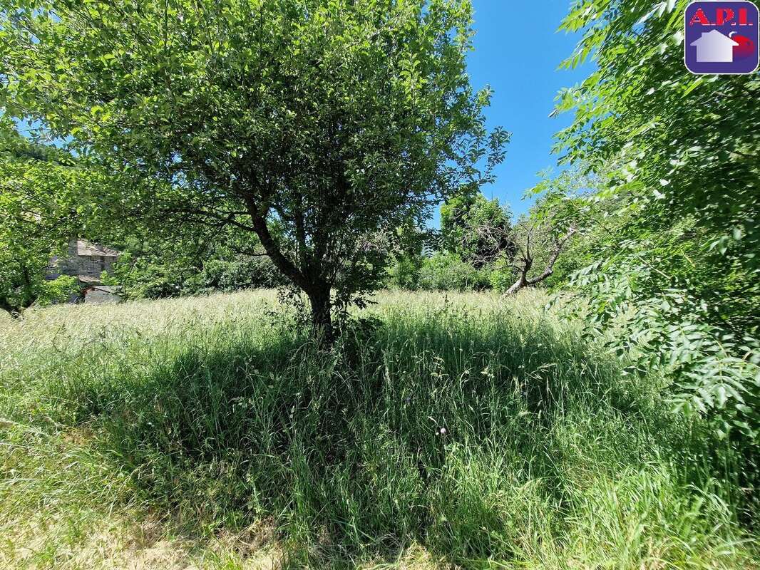 Terrain à ARNAVE
