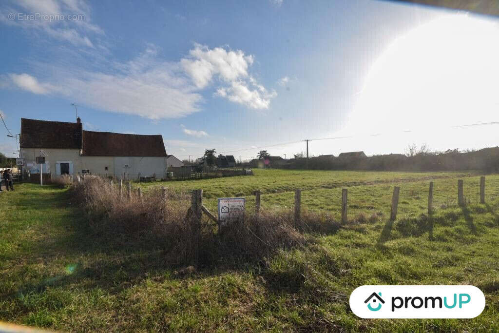 Terrain à CHEMILLY-SUR-YONNE