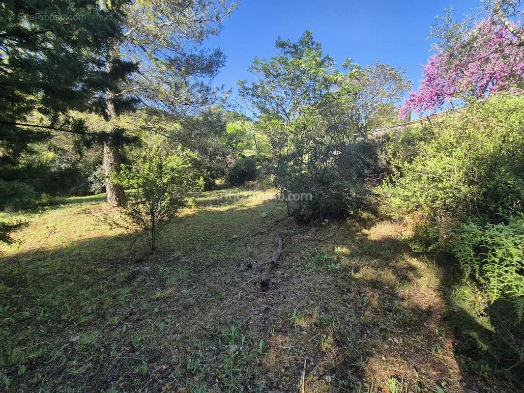 Vente Terrain Draguignan(83300) 120 000ï¿œ - photo 4