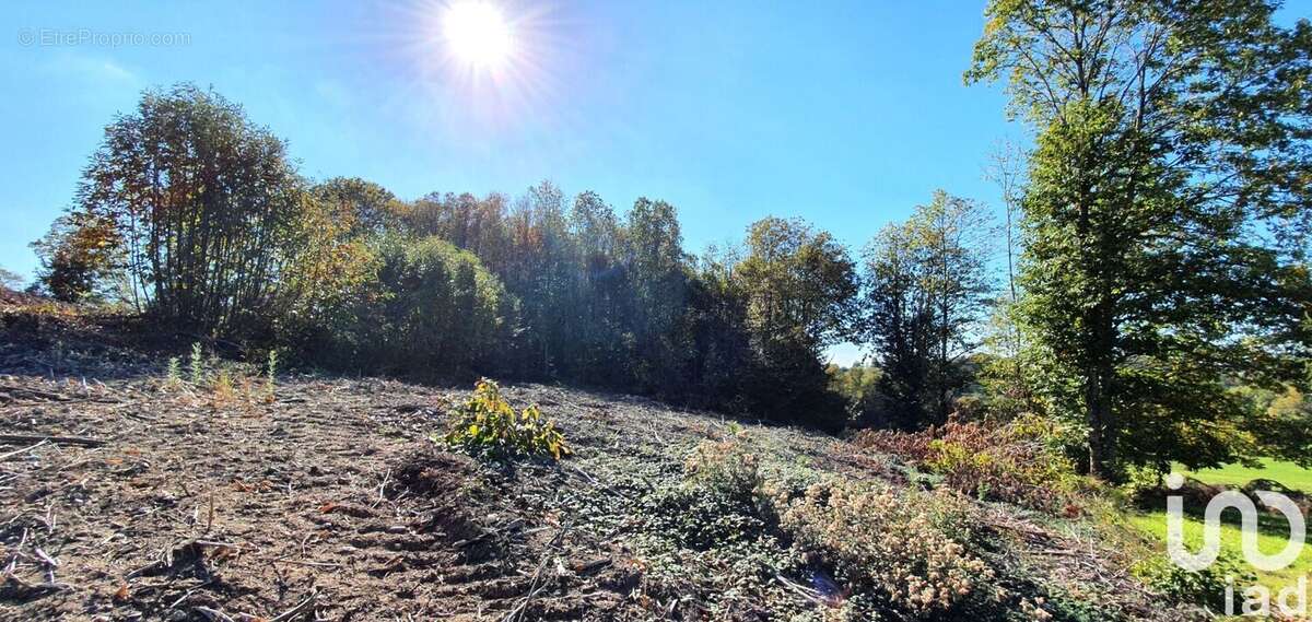 Photo 2 - Terrain à ALBUSSAC
