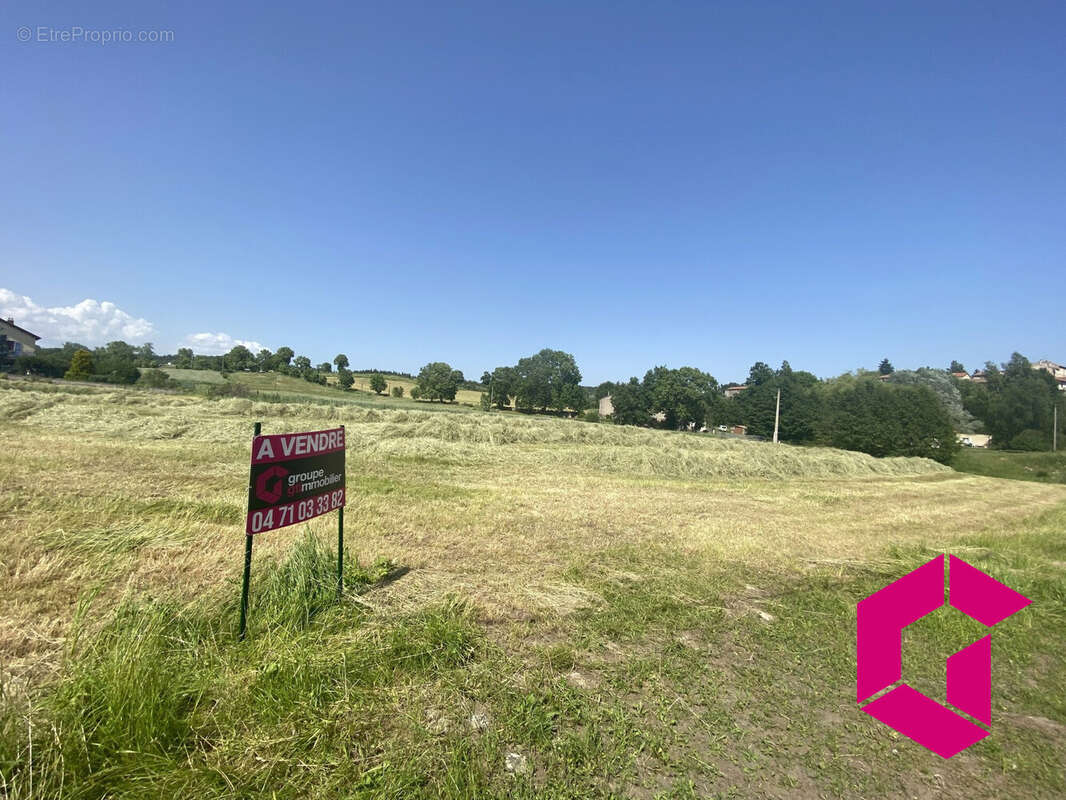 Terrain à SAINT-PAL-DE-CHALENCON