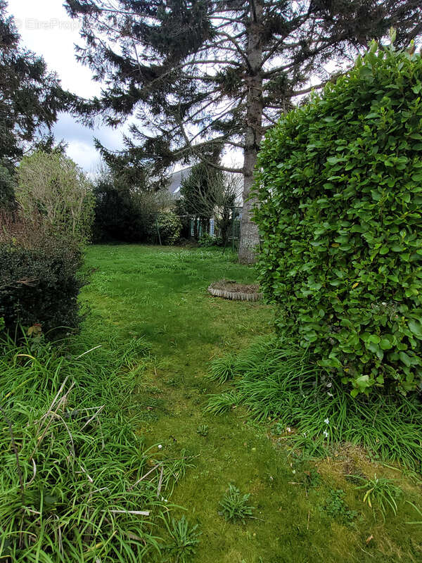 Maison à TREBEURDEN