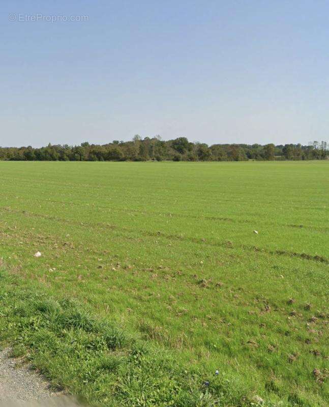 Terrain à ANGLIERS