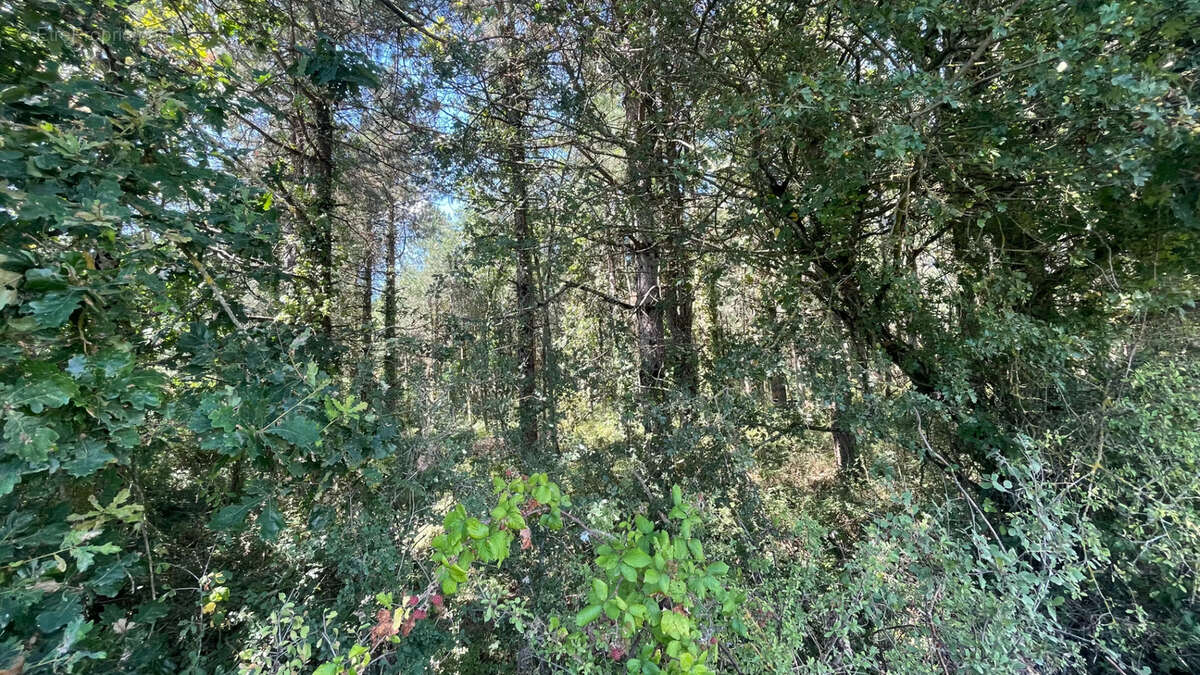 Terrain à SAINT-CHRISTOPHE-DU-LIGNERON