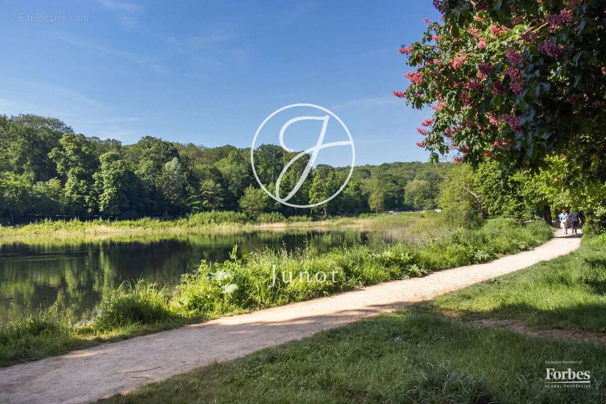 Terrain à VILLE-D'AVRAY