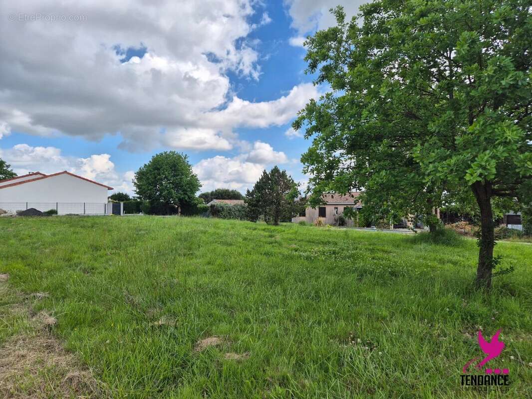 Terrain à LAUNAC