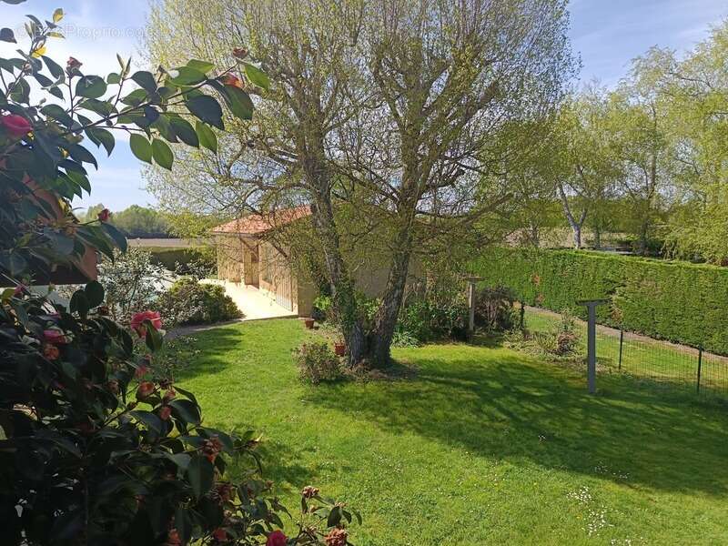 Maison à AIRE-SUR-L'ADOUR