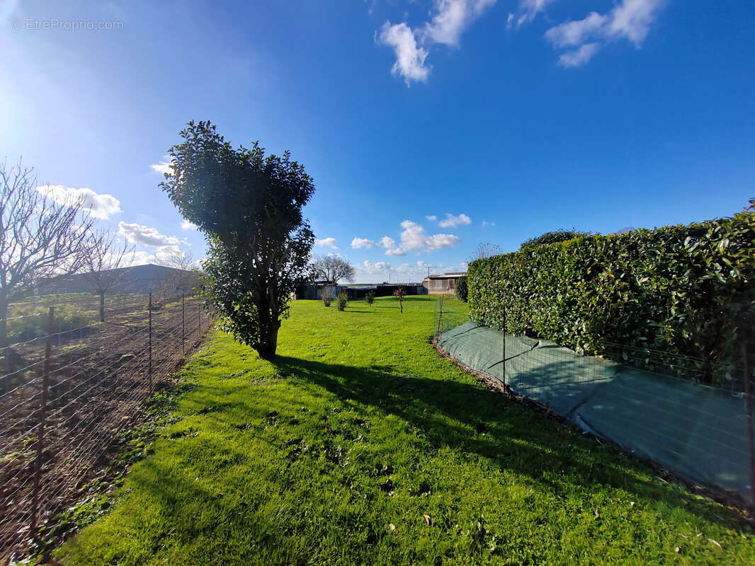 Maison à FONTENAY-LE-COMTE