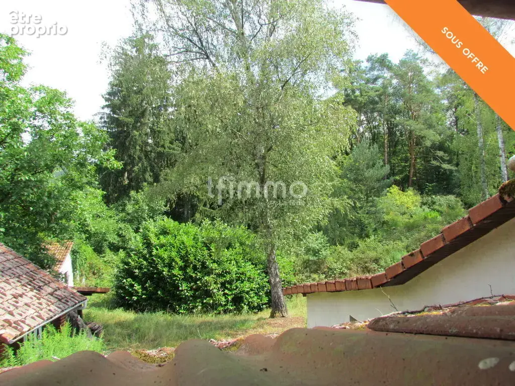 Maison avec dépendances sur 35 ares - photo 11