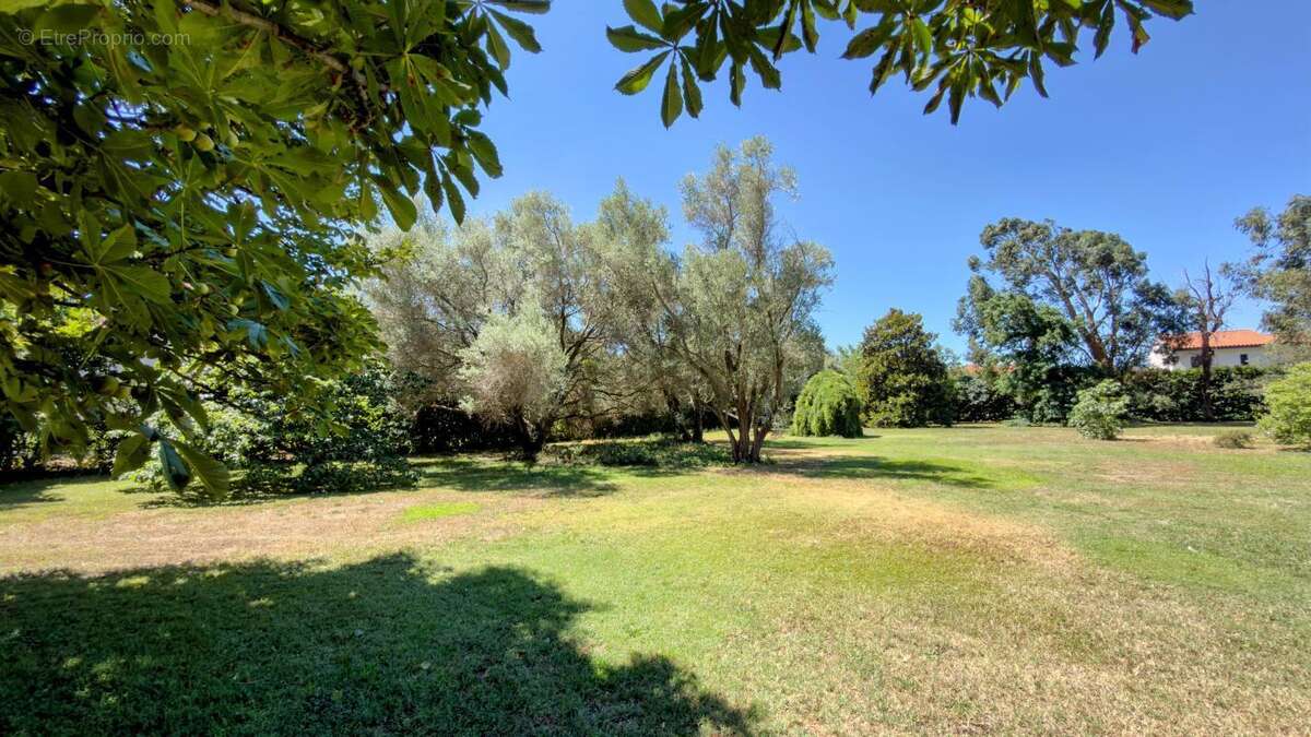 Maison 463 m² à Canohes  - photo 14