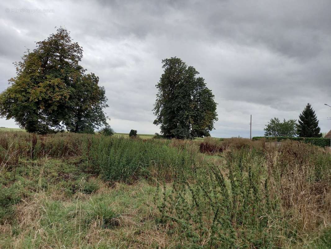 Terrain à VRAIVILLE