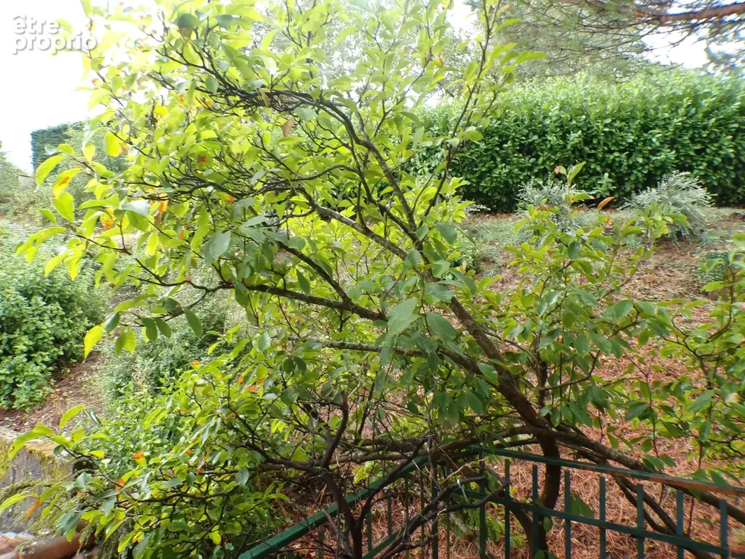 Maison de village en pierre - photo 32