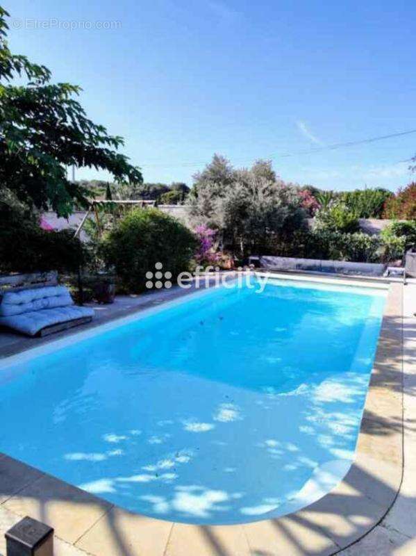 Maison 230 m² à Martigues  - photo 3