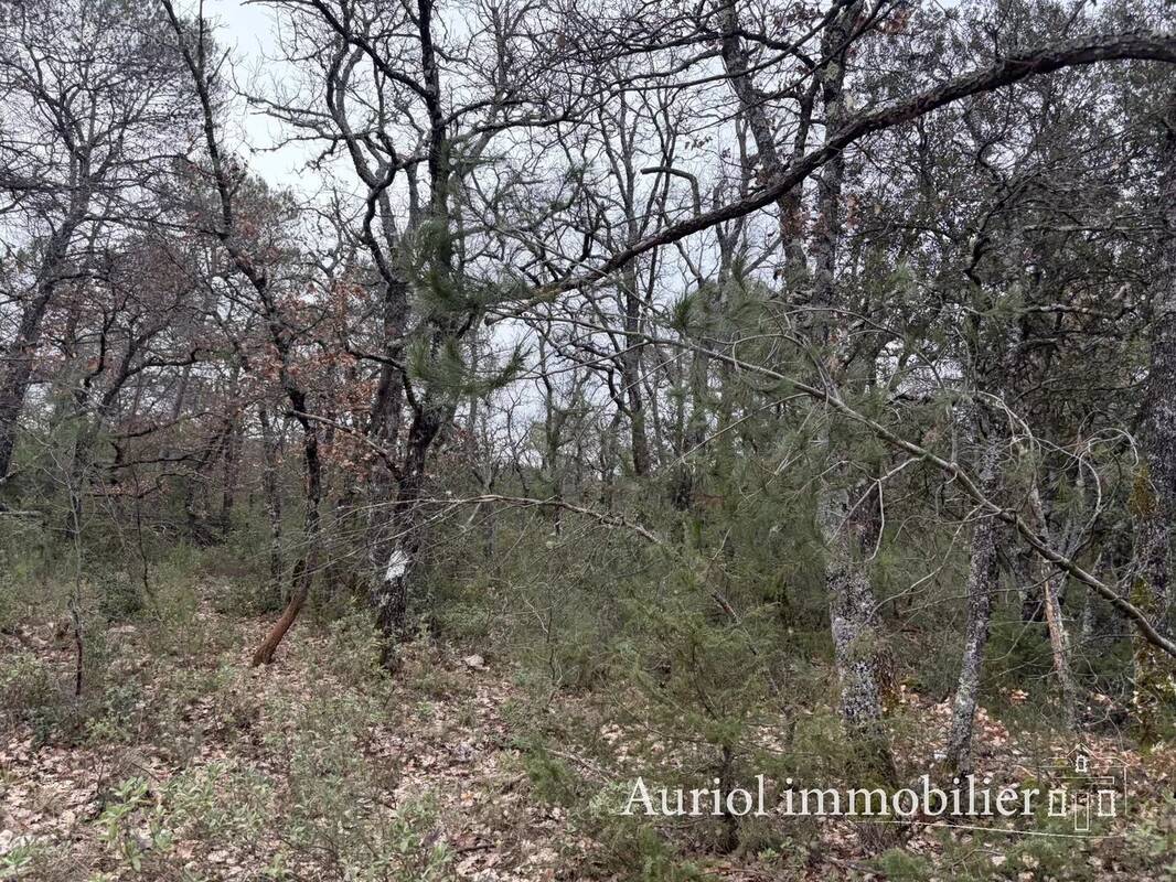 Terrain à NANS-LES-PINS