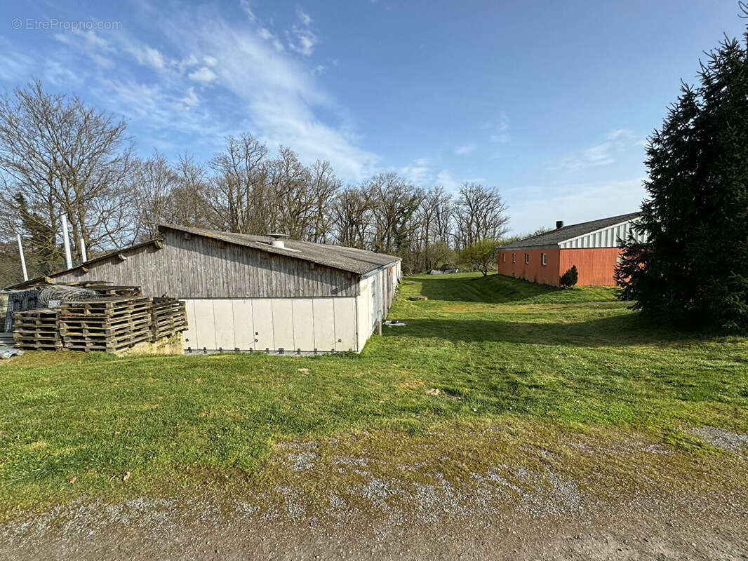 Commerce à MAZEIRAT