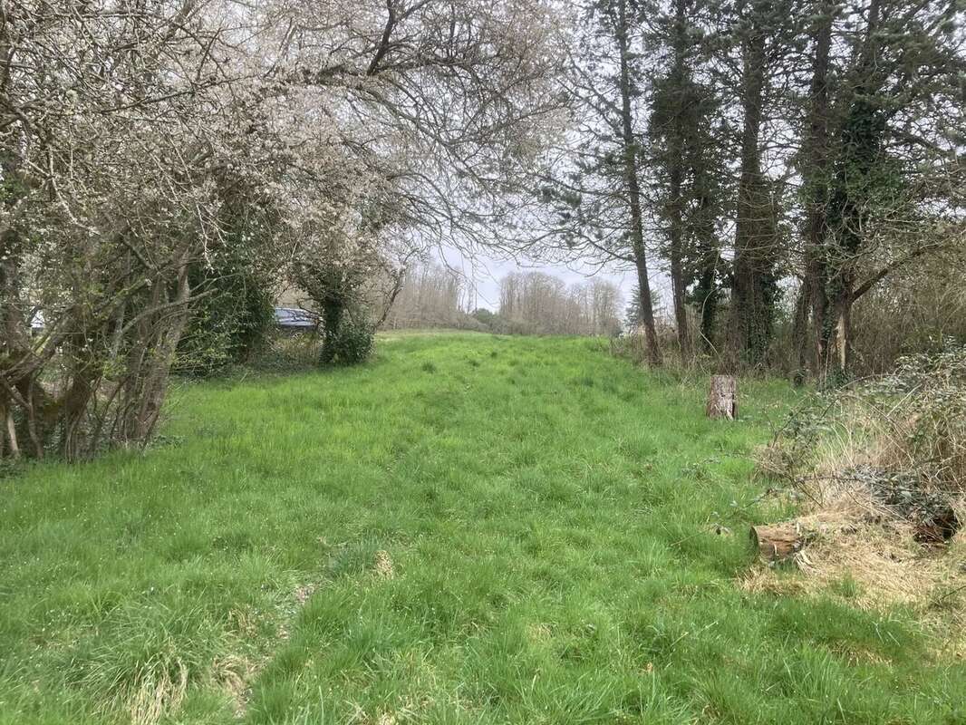 Terrain à RAIZEUX