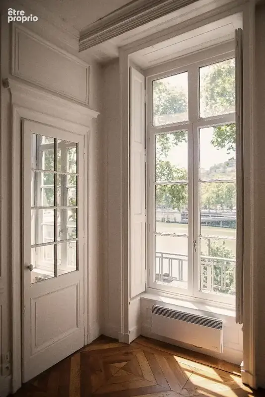 Appartement Familial / Activité professionnelle vue sur la Saône et Fourvière - photo 6