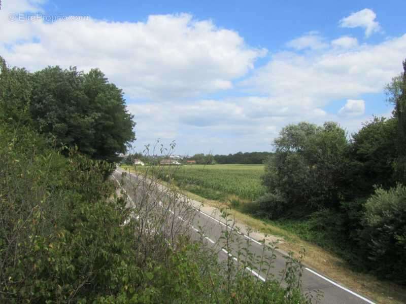 Terrain viabilisé - photo 2